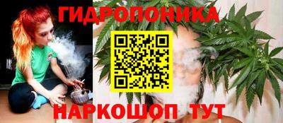 прущие грибы Волжский
