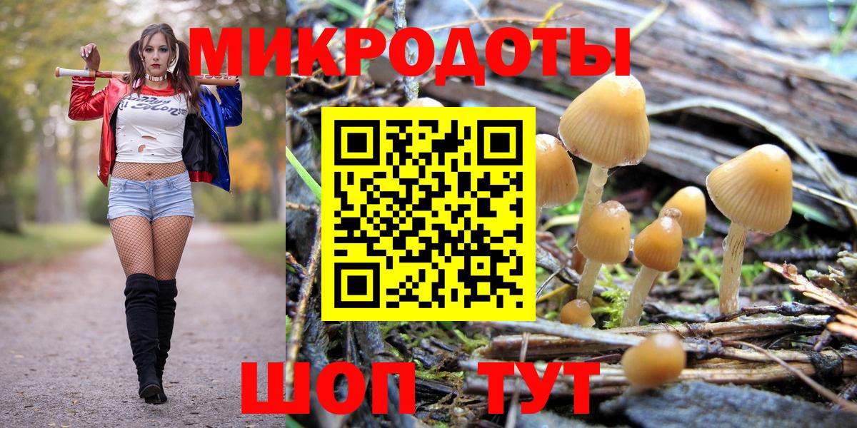 Галлюциногенные грибы мухоморы  Вход с VPN  Галлюциногенные грибы Cubensis  цена наркотик  Мелеуз 